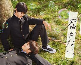 如何优化网站认可w火18星来